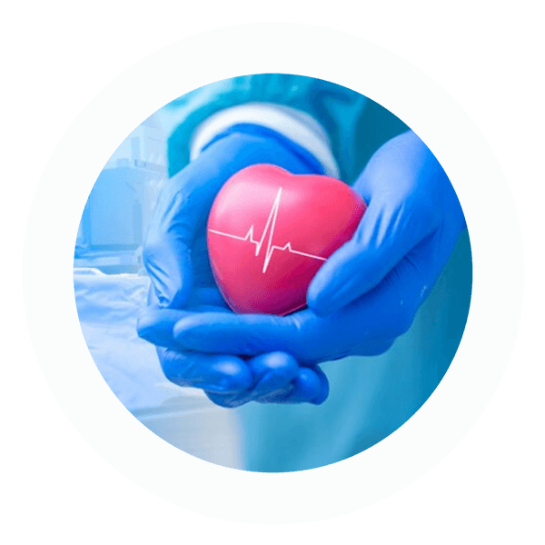 wg-cardiology-heart2